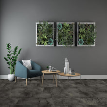 Load image into Gallery viewer, maida_vale tn